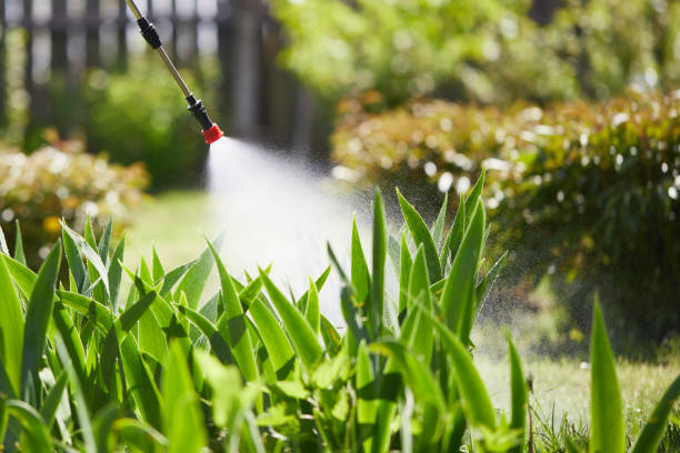 24/7 Emergency Mosquito Control experts in Bartlett, IL