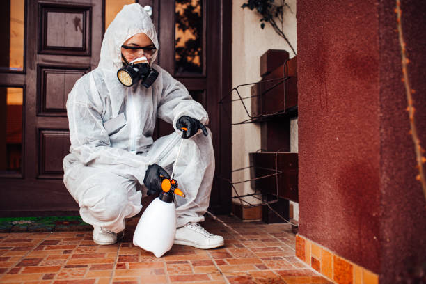 Reliable Mosquito Control contractor in Bartlett, IL by Nex Pest Control